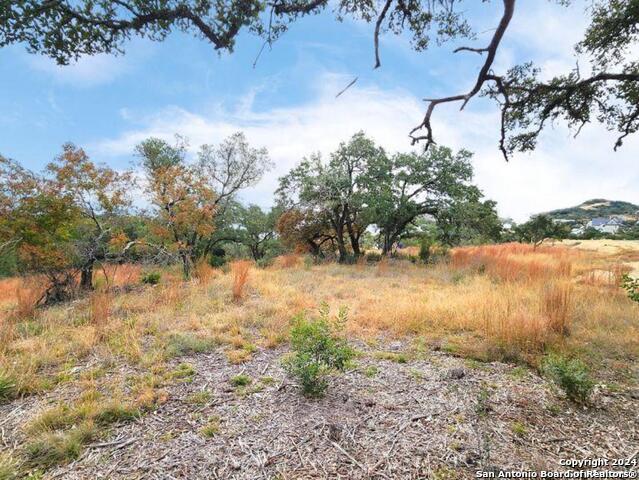 24335 Tres Arroyos Property Photo 26