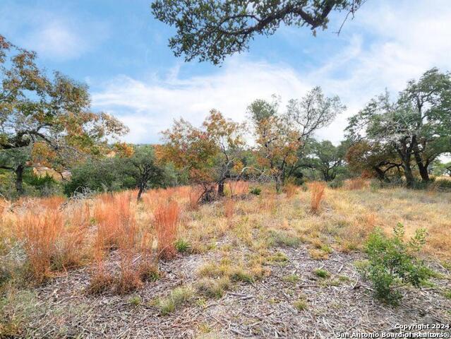 24335 Tres Arroyos Property Photo 28