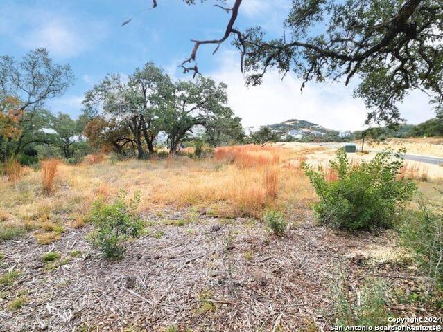 24335 Tres Arroyos Property Photo 29