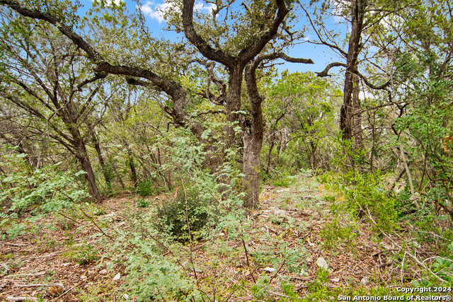 00 Valley Oaks Ranch Phase 2 Property Photo 7