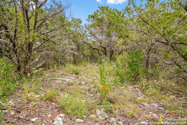 00 Valley Oaks Ranch Phase 2 Property Photo 8