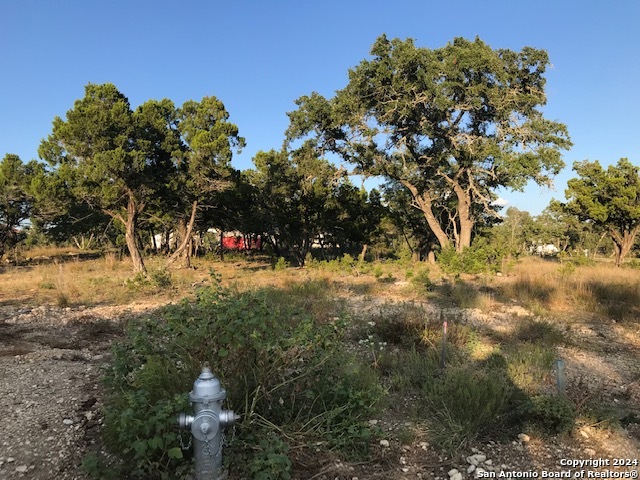 10978 Pecan Ranch Property Photo 7