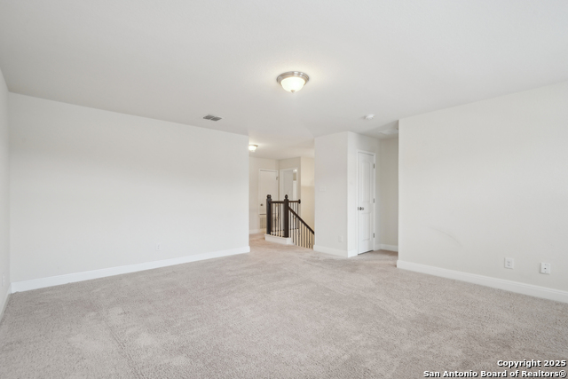 13002 Panhandle Cv Property Photo 19