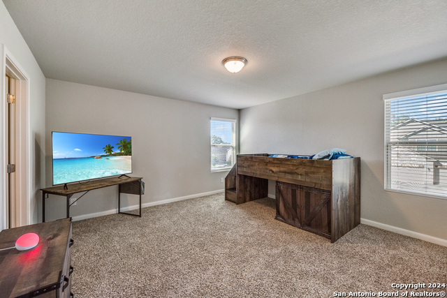 7939 Blackhawk Pass Property Photo 21