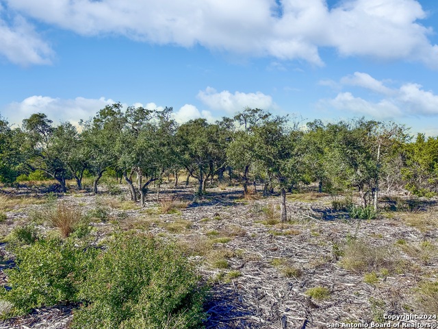 34731 Deeanne Valley Trl Property Photo 10