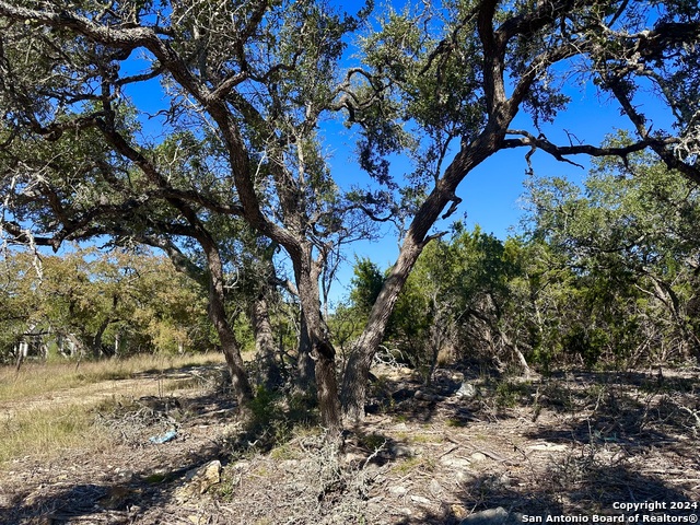 34731 Deeanne Valley Trl Property Photo 12