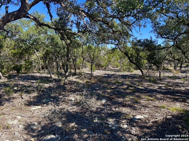 34731 Deeanne Valley Trl Property Photo 14