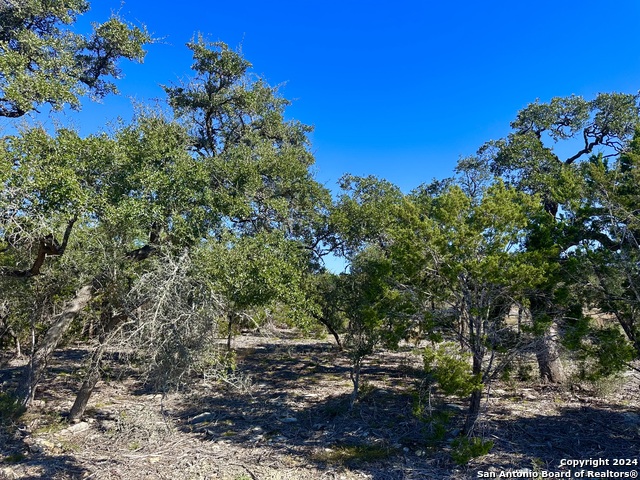 34731 Deeanne Valley Trl Property Photo 15
