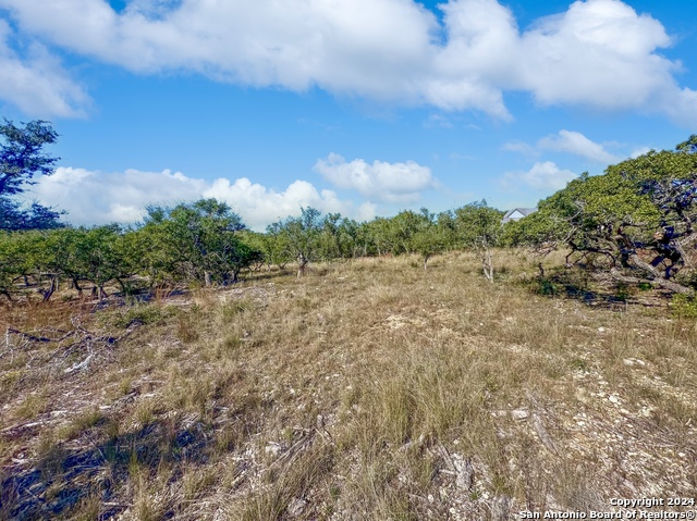 34731 Deeanne Valley Trl Property Photo 16