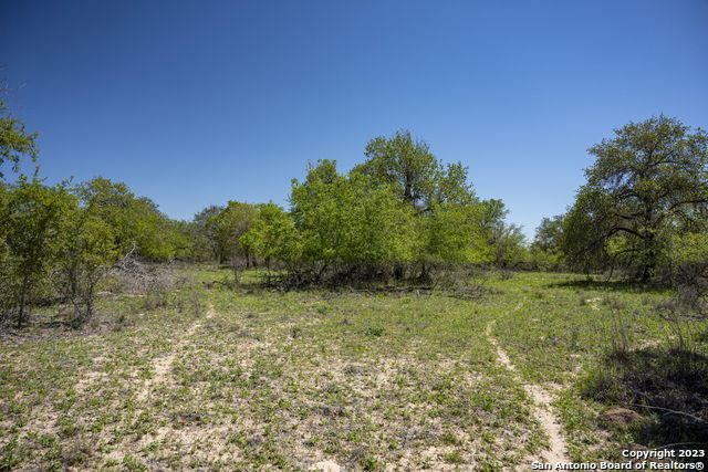 2731 County Road 770 Property Photo 21