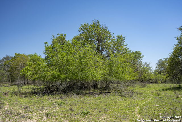 2731 County Road 770 Property Photo 22