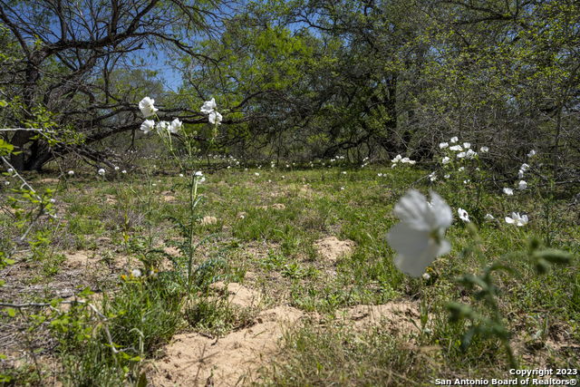 2731 County Road 770 Property Photo 27