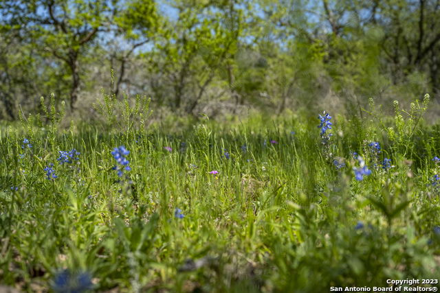 2731 County Road 770 Property Photo 32