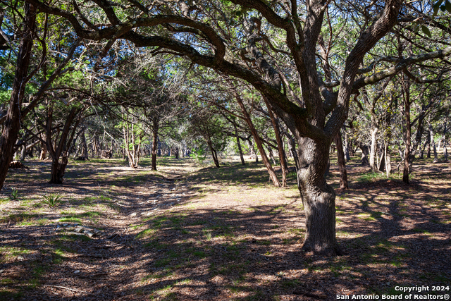 26662 Fawn Mtn Property Photo 2