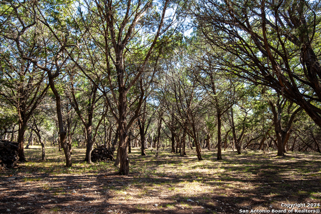 26662 Fawn Mtn Property Photo 4