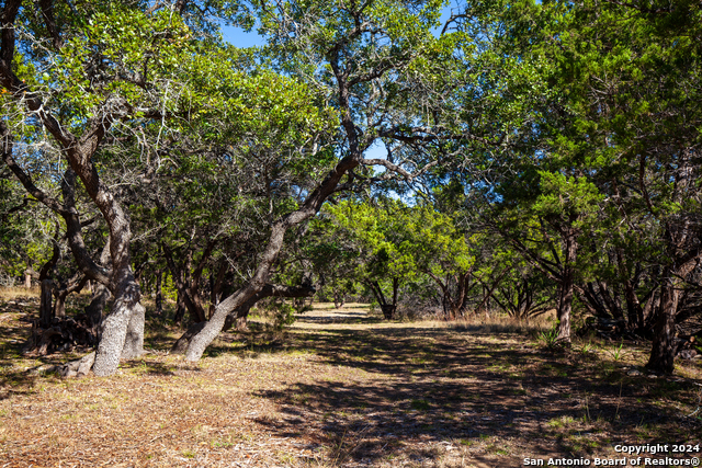 26662 Fawn Mtn Property Photo 5