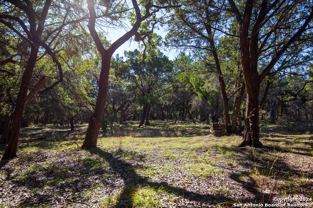26662 Fawn Mtn Property Photo 6