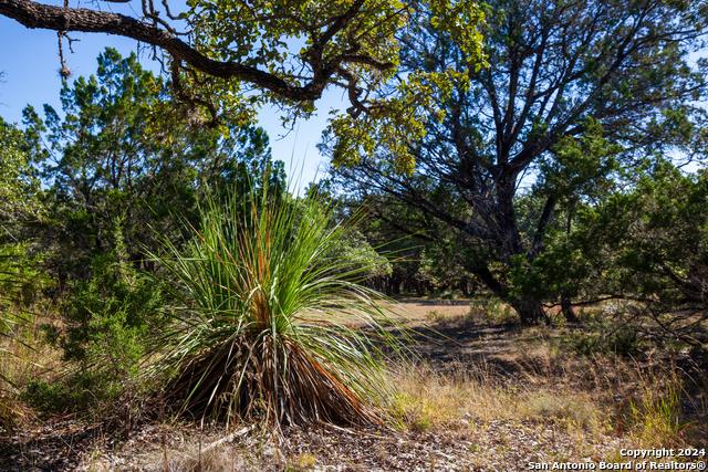 26662 Fawn Mtn Property Photo 7