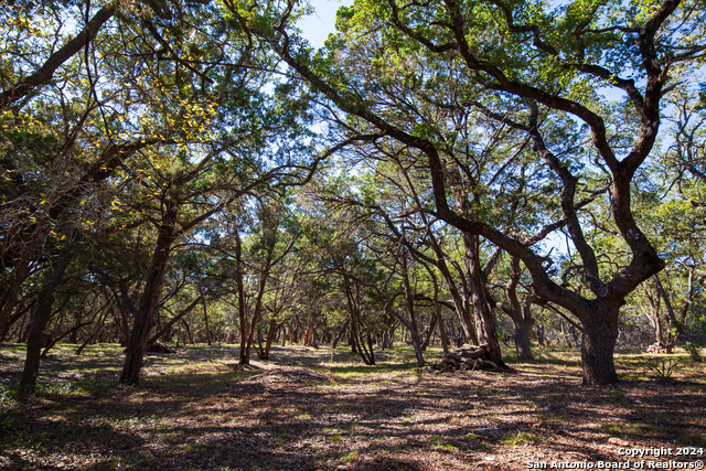 26662 Fawn Mtn Property Photo 8