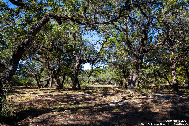 26662 Fawn Mtn Property Photo 9