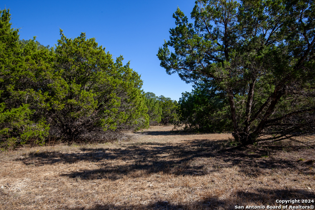 26662 Fawn Mtn Property Photo 10
