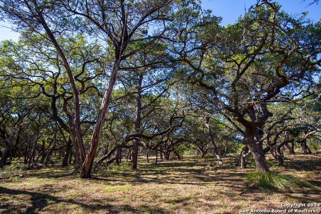 26662 Fawn Mtn Property Photo 11