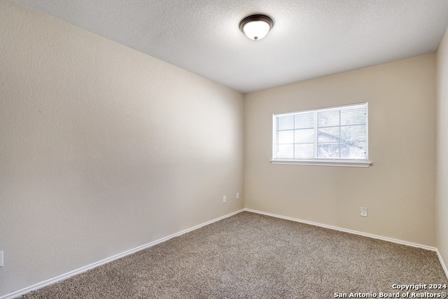 10331 Manor Crk Property Photo 23