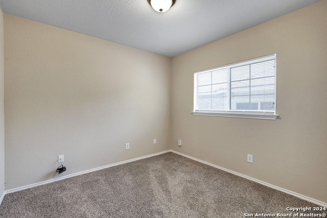 10331 Manor Crk Property Photo 25