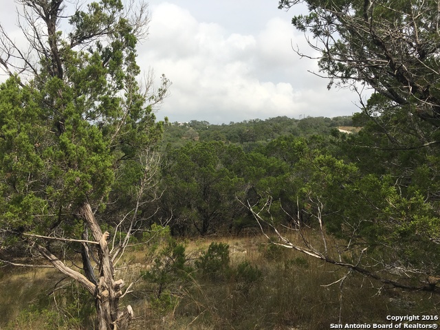 1557 Primrose Path Property Photo 5