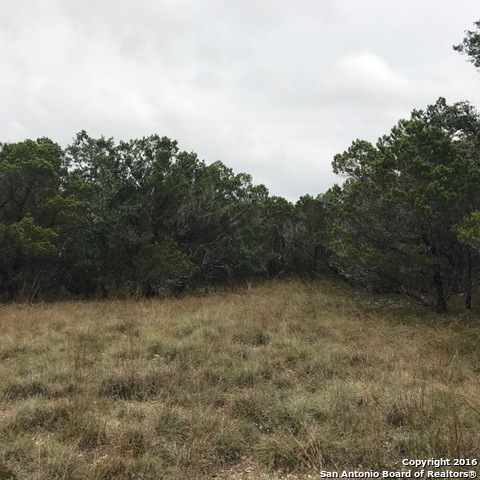 1557 Primrose Path Property Photo 28