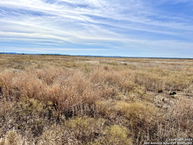 00 County Road 300 Property Photo 6