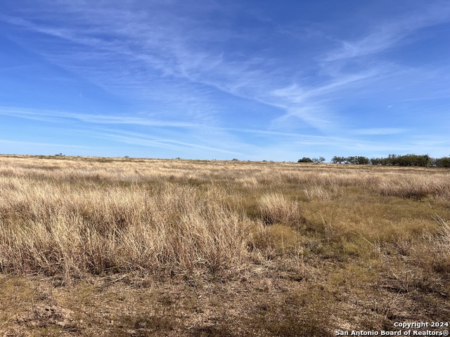 00 County Road 300 Property Photo 10
