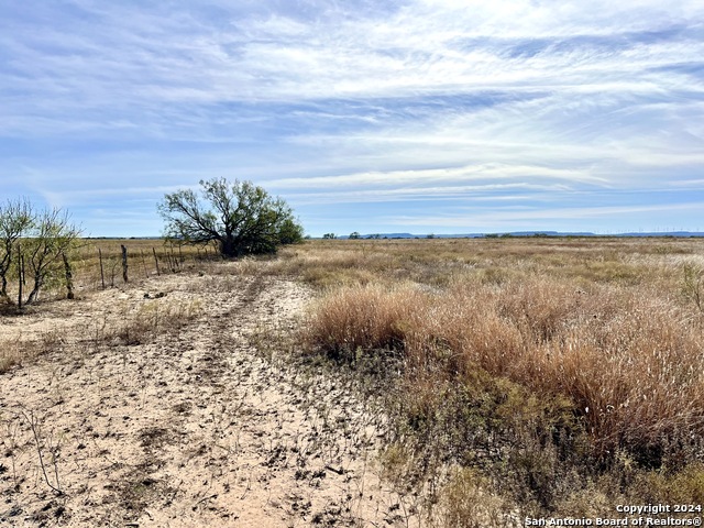 00 County Road 300 Property Photo 12