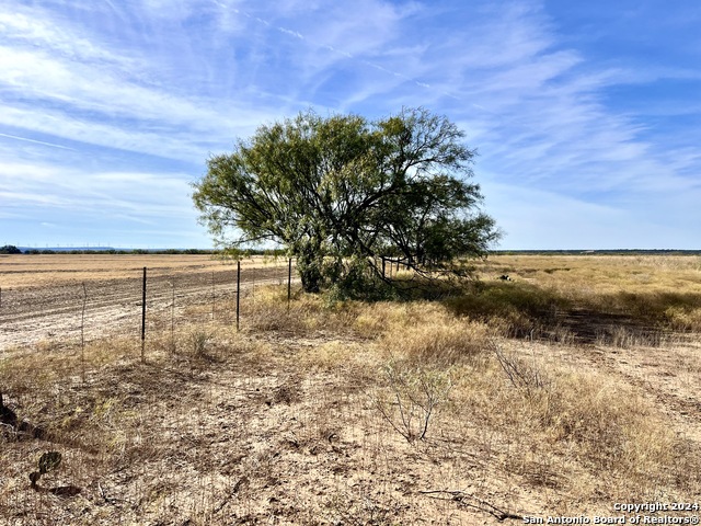 00 County Road 300 Property Photo 14
