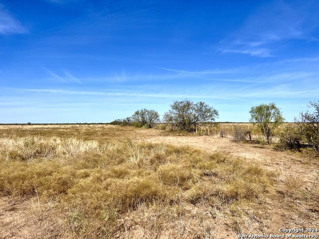00 County Road 300 Property Photo 15