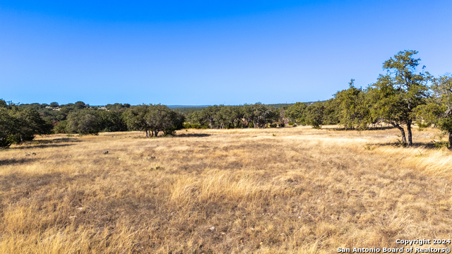 428 Lester Lane Property Photo 12