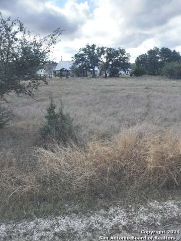 123 Antonio Perez Property Photo 1