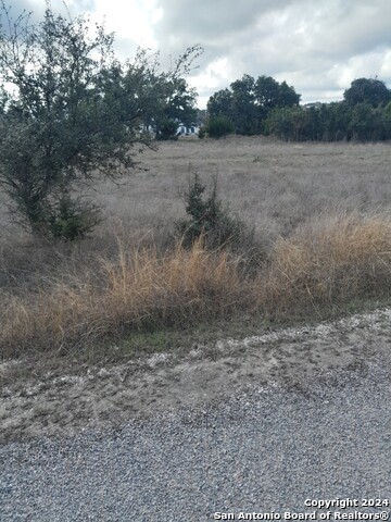 123 Antonio Perez Property Photo 4