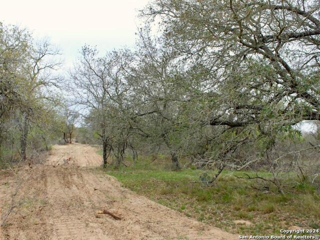 2721 County Road 770 Property Photo 2