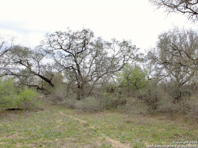 2721 County Road 770 Property Photo 6