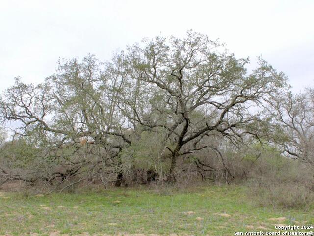 2721 County Road 770 Property Photo 7