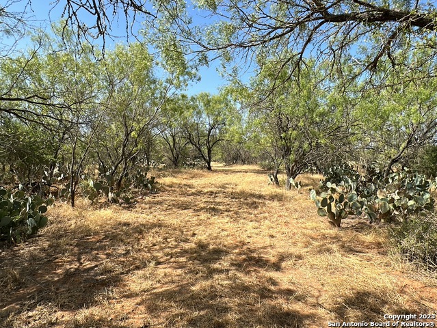 154 Cr 2644 Property Photo 2