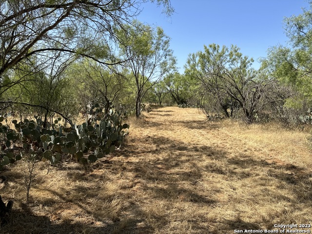 154 Cr 2644 Property Photo 4