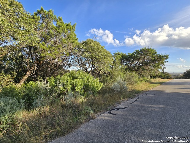 15822 White Fawn Dr Property Photo 12