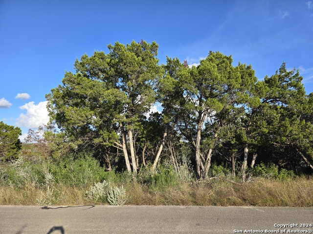 15822 White Fawn Dr Property Photo 14
