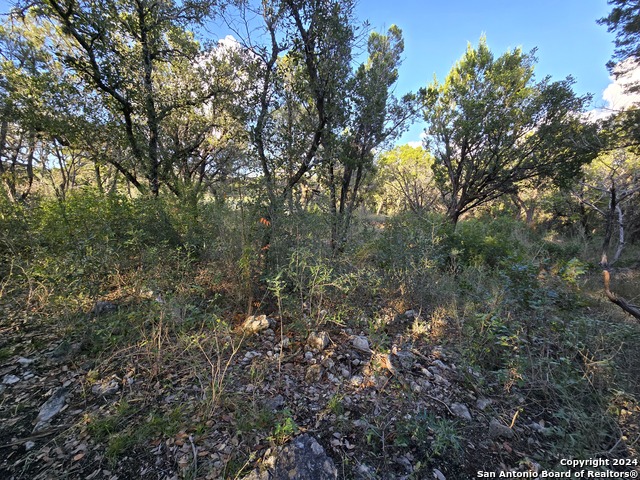 15822 White Fawn Dr Property Photo 15