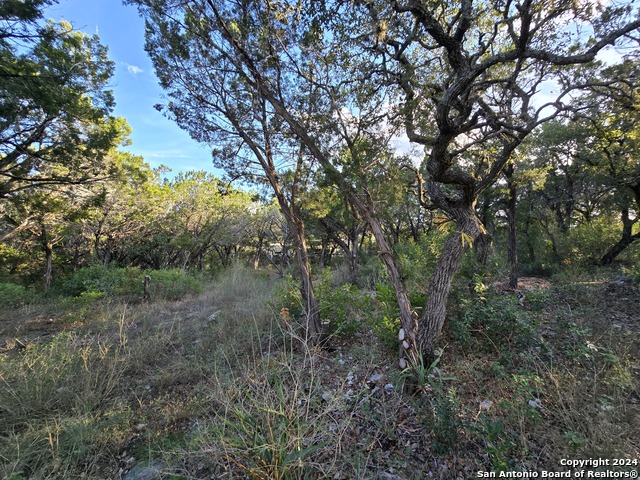15822 White Fawn Dr Property Photo 16
