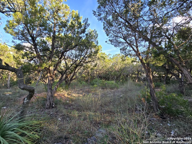 15822 White Fawn Dr Property Photo 17