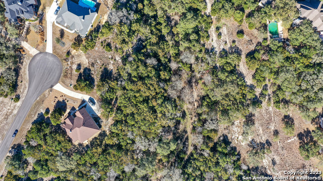1820 Mountain Springs Property Photo 4