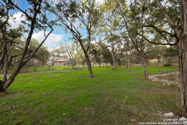 9041 Schoenthal Rd Property Photo 6